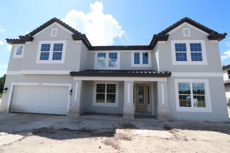 New construction Single-Family house 2057 Drummond Pt, Zephyrhills, FL 33541 Grandsail  III- photo 3 3