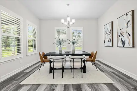 New construction Single-Family house 19364 Sheltered Hill Dr, Brooksville, FL 34601 - image 6