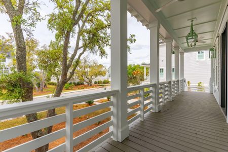 New construction Single-Family house 832 Dunham Street, Charleston, SC 29492 - photo 12 12