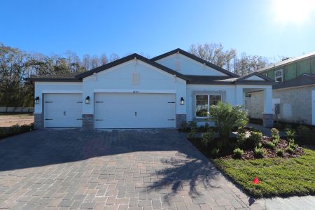 New construction Single-Family house 20339 Oriana Loop, Land O' Lakes, FL 34638 Newport II- photo 95 95