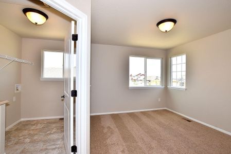 New construction Single-Family house 437 Vivid Ln, Windsor, CO 80550 null- photo 19 19