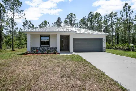 New construction Single-Family house 5542 Buckeye Ln, Bunnell, FL 32110 - image