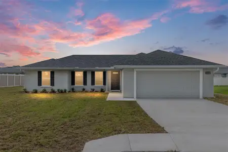 New construction Single-Family house 202 Locust Pass Ct, Ocala, FL 34472 - image