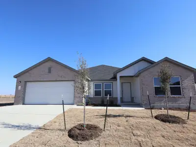 New construction Single-Family house 13709 Warnock Trl, Manor, TX 78653 plan Arlington - image
