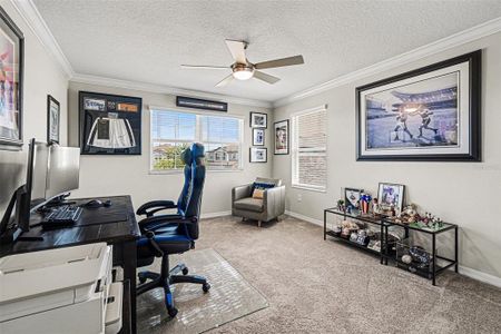 New construction Single-Family house 4902 Eagle Rock Dr, Wimauma, FL 33598 plan Mira Lago - image 10