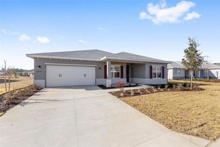 New construction Single-Family house 10634 Sw 101St Lane Rd, Ocala, FL 34481 plan Ariana - image