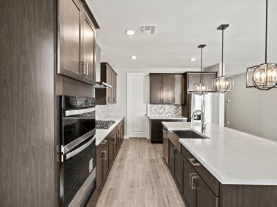 New construction Single-Family house 357 W Rock Needle Trl, Apache Junction, AZ 85120 plan Lark - image