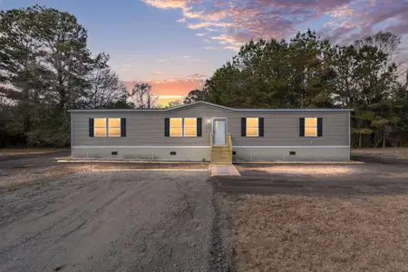 New construction Mobile Home house 155 Brittwood Dr, St. George, SC 29477 - image