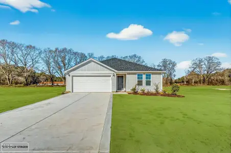 New construction Single-Family house 203 Hill Valley Dr, La Grange, NC 28551 plan Sunset - image