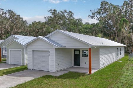 New construction Single-Family house 1012 E Hazzard, Eustis, FL 32726 - image