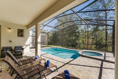 Patio View