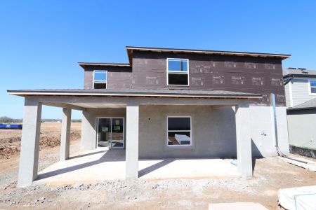 New construction Single-Family house 38318 Tobiano Loop, Dade City, FL 33525 Malibu- photo 62 62