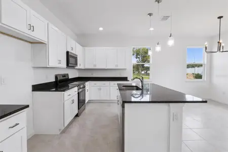 New construction Single-Family house 3712 Watercliff Cir, Grand Island, FL 32735 - image 6