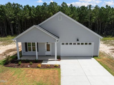 New construction Single-Family house 4519 Sweet Williams Ln, Wilson, NC 27896 - image