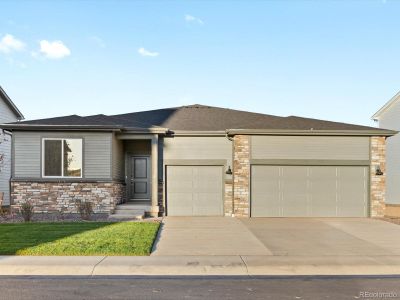 New construction Single-Family house 1633 Yampa River Dr, Windsor, CO 80550 plan The Granby - image