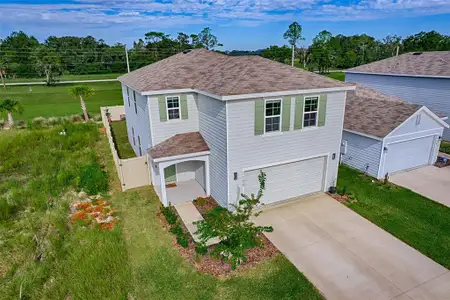 New construction Single-Family house 1100 Nw 248Th Dr, Newberry, FL 32669 plan Elston - image