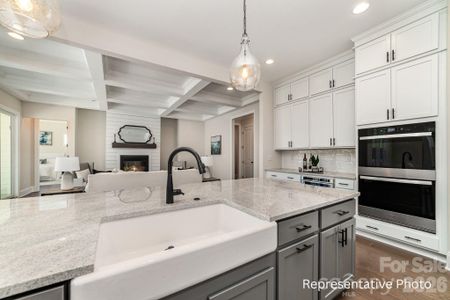 New construction Single-Family house 1290 Sage Pine Cir, Unit 17, Clover, SC 29710 - image 17