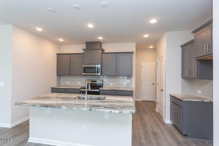 New construction Single-Family house 25 Cloudberry Ct, Clayton, NC 27520 - image 9