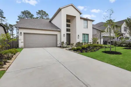 New construction Single-Family house 234 Butterfly Orchid Ct, Willis, TX 77318 plan The Wallace - image