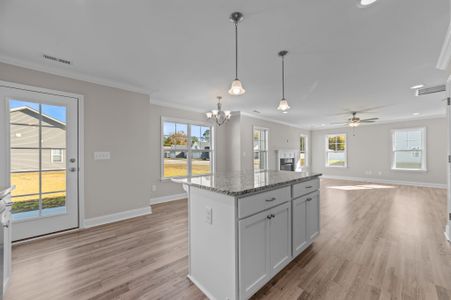 New construction Single-Family house 613 Plymouth Dr, Greenville, NC 27858 plan Rockbridge - image 11