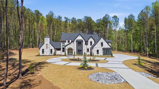 New construction Single-Family house 1315 Sandy Creek Rd, Tyrone, GA 30290 - image