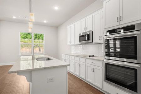 New construction Single-Family house 12 Overview Ct, Jefferson, GA 30549 - image 9