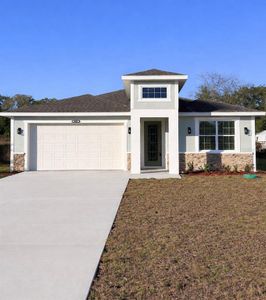 New construction Single-Family house 3919 Se 135Th Ln, Summerfield, FL 34491 - image