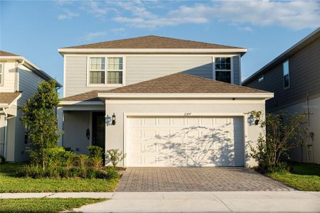 New construction Single-Family house 2377 Palm Park Loop, Clermont, FL 34714 - photo 0