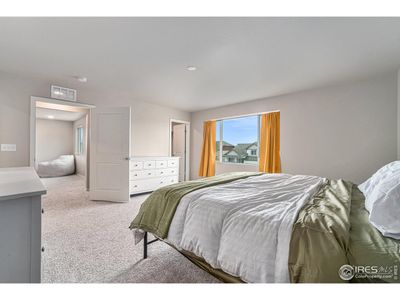 New construction Single-Family house 6637 6Th St, Greeley, CO 80634 - image 19