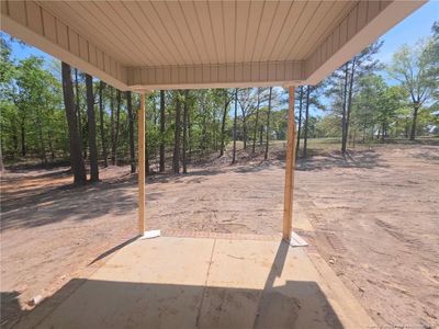 New construction Single-Family house 324 D L Phillips Ln, Broadway, NC 27505 - image