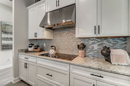 New construction Single-Family house 14224 Lons Pl, Jacksonville, FL 32226 plan Belmar - image 8