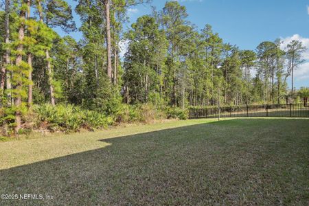 New construction Single-Family house 10409 Silverbrook Trl, Jacksonville, FL 32256 null- photo 45 45