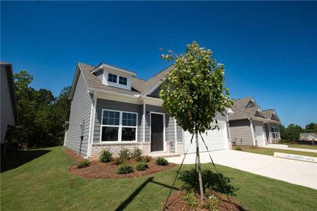 New construction Single-Family house 159 Hydrangea Ct, Dallas, GA 30132 Waterford- photo 1 1