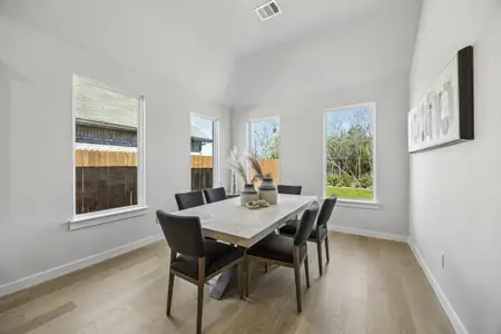 New construction Single-Family house 5208 Picasso Rd, Royse City, TX 75189 plan Reunion - image 14