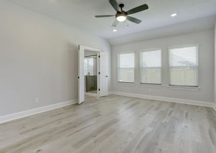 Large master bedroom with three windows that create a bright, open space.