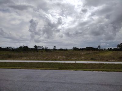 New construction Single-Family house 10124 Sw Hemingway Ter, Palm City, FL 34990 - image 9