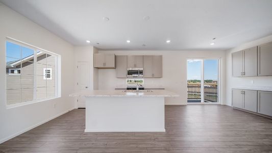 New construction Single-Family house 3387 Pearwood Dr, Johnstown, CO 80534 plan Clydesdale - image 12