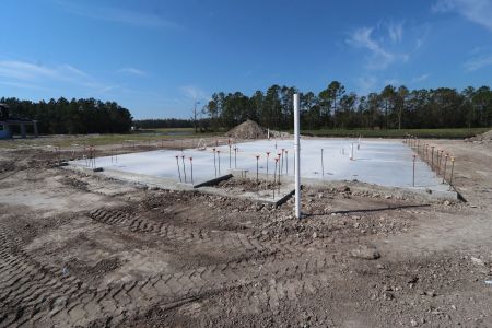 New construction Single-Family house 1787 Drummond Pt, Zephyrhills, FL 33541 Sonoma II- photo 12 12