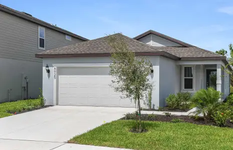 New construction Single-Family house 12229 Tranquil Waters Ter, Parrish, FL 34219 plan Daniel - image