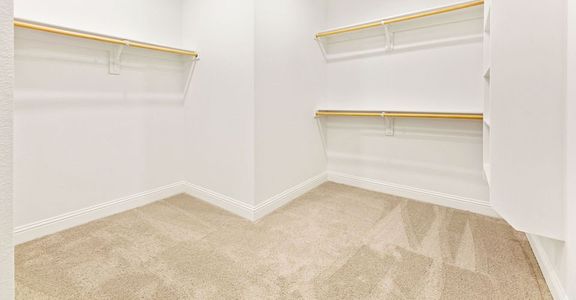 New construction Single-Family house 5204 Picasso Rd, Royse City, TX 75189 plan Stirling - image 18