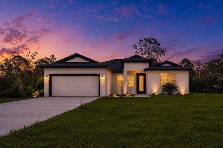 New construction Single-Family house 551 Dowling Cir, Lady Lake, FL 32159 - image