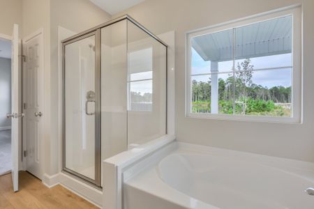 New construction Single-Family house 267 Wexford Dr, Richmond Hill, GA 31324 plan Hatteras Signature - image 15