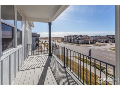 New construction Multi-Family house 2106 Falling Leaf Dr, Windsor, CO 80550 null- photo 28 28