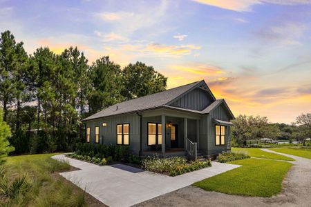 New construction Single-Family house 7344 Eddy Farm Rd, Hollywood, SC 29449 - image