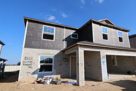 New construction Single-Family house 12252 Hilltop Farms Dr, Dade City, FL 33525 Cabo- photo 55 55