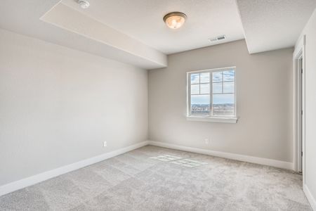 New construction Single-Family house 8405 S Winnipeg Ct, Aurora, CO 80016 null- photo 19 19