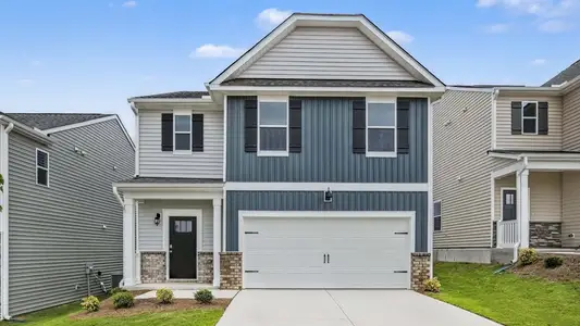 New construction Single-Family house 121 Hanging Elm Ln, Fuquay Varina, NC 27526 plan Robie - image