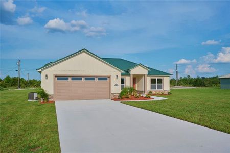 New construction Single-Family house 7031 Red Grange Boulevard Avenue, Indian Lake Estates, FL 33855 - photo 0