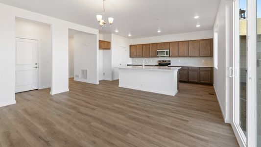 New construction Single-Family house 1448 Boyle St, Windsor, CO 80550 plan Kensington - image 13