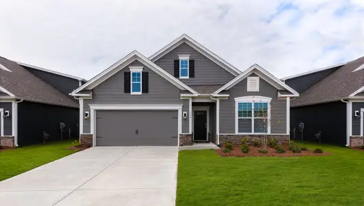 New construction Single-Family house 648 River Bottom Rd, Fletcher, NC 28732 plan Dover - image